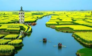 湖北出發(fā)浙江4日自駕游：揚州瘦西湖-李中水上森林-千垛菜花4日自駕游自駕游