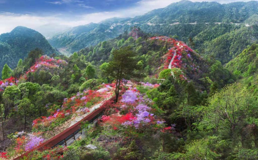 武汉周边岳西天峡：岳西天峡-大别山百里杜鹃-华东第一大峡谷2日自驾游