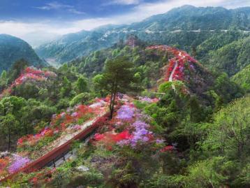 武汉周边岳西天峡：岳西天峡-大别山百里杜鹃-华东第一大峡谷2日自驾游
