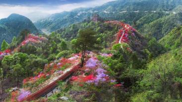 武汉周边岳西天峡：岳西天峡-大别山百里杜鹃-华东第一大峡谷2日自驾游-推荐