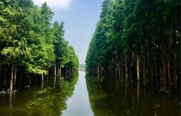 武汉出发仙桃2日自驾游：京山空山洞-莫愁村-沙洋油菜花-仙桃梦里水乡2天踏青游-游推荐