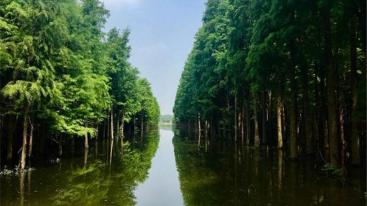 武汉出发仙桃2日自驾游：京山空山洞-莫愁村-沙洋油菜花-仙桃梦里水乡2天踏青游-推荐