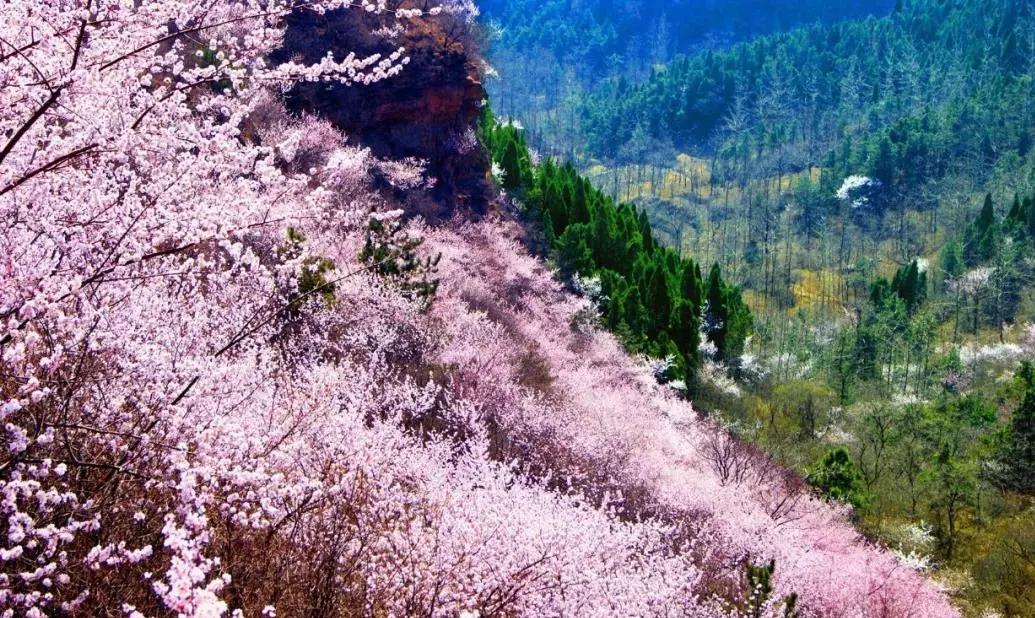 河南出发3日自驾南太行：万仙山-王莽岭-天界山-陈家园3日自驾挂壁公路自驾游自驾游