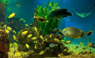 北京出发辽东半岛5日自驾游：鸭绿江风光，大连海洋公园5日自驾自驾游