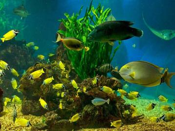 北京出发辽东半岛5日自驾游：鸭绿江风光，大连海洋公园5日自驾