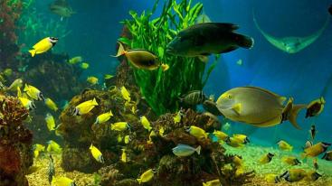 北京出发辽东半岛5日自驾游：鸭绿江风光，大连海洋公园5日自驾-推荐