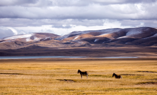 拉萨集合阿里11日自驾游：布达拉宫-冈仁波齐-珠峰-古格王朝11日阿里大北环线自驾游