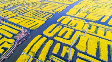 山东出发江苏3日自驾游：梦幻迷宫-溱湖湿地-琴童古镇-千垛菜花3日自驾游-推荐