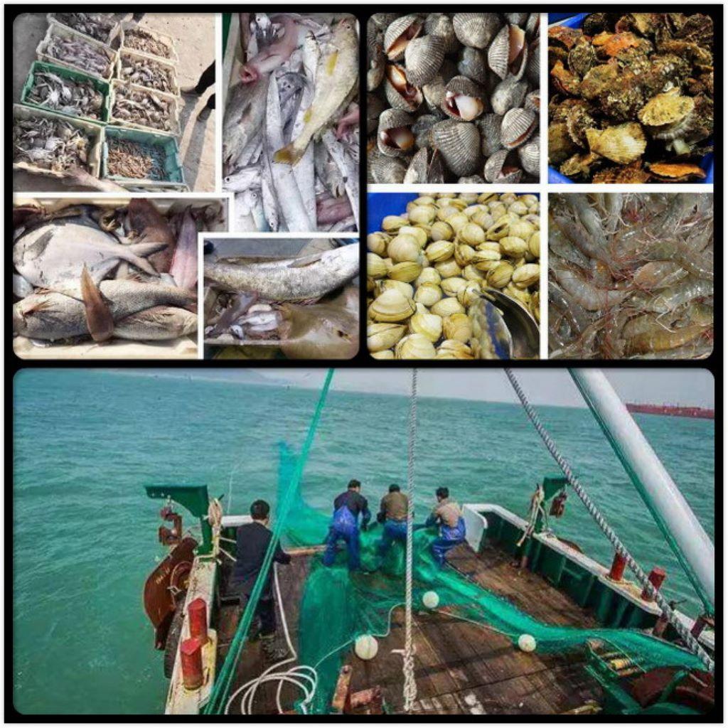 北京至黄骅2日自驾游：黄骅出海-船上现食海鲜大餐-湿地2日自驾游自驾游