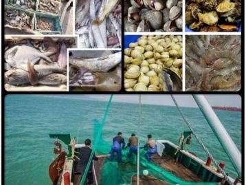 北京至黃驊2日自駕游：黃驊出海-船上現(xiàn)食海鮮大餐-濕地2日自駕游