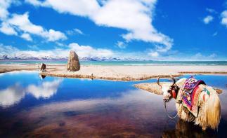 拉薩集合阿里13日拼車游：納木錯(cuò)+日喀則+岡仁波齊+古格王朝阿里大環(huán)線自駕游13日自駕游