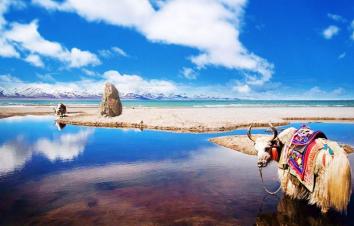 拉萨集合阿里13日拼车游：纳木错+日喀则+冈仁波齐+古格王朝阿里大环线自驾游13日-游推荐