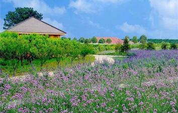 江苏出发苏州1日亲子体验自驾活动：绿光农场亲子DIY休闲自驾游-游推荐