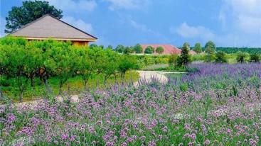 江苏出发苏州1日亲子体验自驾活动：绿光农场亲子DIY休闲自驾游-推荐