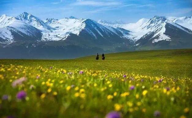 新疆10日北疆-西疆自驾游：喀纳斯+伊犁那拉提+赛里木湖+独库公路+唐布拉百里画廊之旅