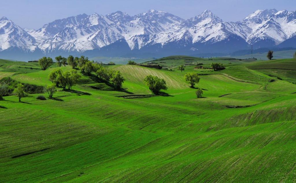 新疆出发6日东疆自驾游：吐鲁番+大海道+江布拉克草原+库木塔格沙漠穿越之旅