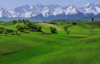 新疆出发6日东疆自驾游：吐鲁番+大海道+江布拉克草原+库木塔格沙漠穿越之旅-游推荐