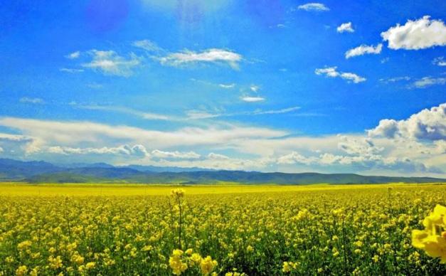 青海甘肃大环线9天自驾：青海湖+卓尔山+敦煌莫高窟+张掖七彩丹霞+水上雅丹