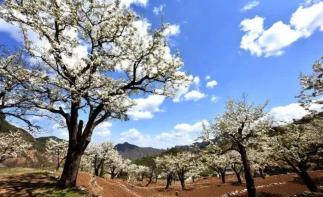 北京周邊1日自駕游：霞云嶺國家森林公園-金水湖1日自駕游自駕游