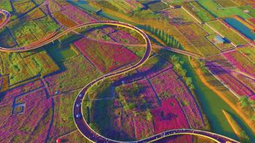 山东到苏北3日自驾游：河下古镇-衲田花海-洪泽湖休闲3日自驾游-推荐