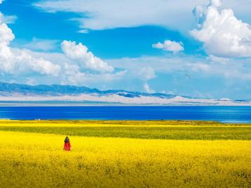 全国出发西宁集结青海5日自驾游：茶卡盐湖-青海湖-卓尔山-丹霞-祁连大草原5日小环线西北自驾游