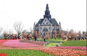 江苏周边2日自驾游：大丰豪华特色酒店-荷兰花海-梦幻迷宫2日自驾游-游推荐