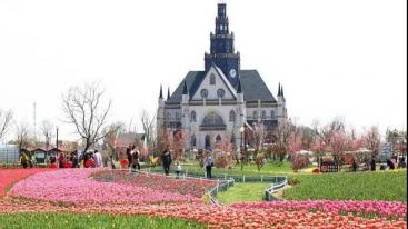 江苏周边2日自驾游：大丰豪华特色酒店-荷兰花海-梦幻迷宫2日自驾游-推荐