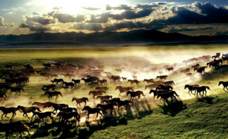 北京出發(fā)烏蘭布統(tǒng)3日自駕游：渾善達克沙地-烏蘭巴托大草原穿越自駕游自駕游