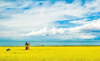 江西出发西北13日自驾游：张掖七彩丹霞-青海湖-麦积山石窟-丝绸之路13日自驾之旅自驾游