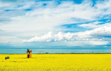 江西出發(fā)西北13日自駕游：張掖七彩丹霞-青海湖-麥積山石窟-絲綢之路13日自駕之旅-游推薦
