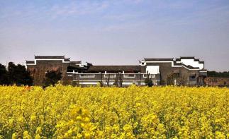 湖北出发江西靖安2日自驾游：逛安义古城-泡九岭森林温泉-享天然氧吧2日休闲自驾游自驾游