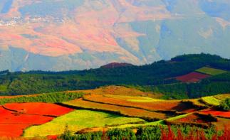 重庆出发云南3日自驾游：大山包观云卷云舒-赏候鸟归来3日自驾之旅自驾游