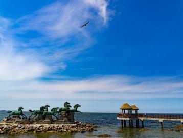 北京出發(fā)山東大連6日自駕游：養(yǎng)馬島、潛艇博物館、旅順軍港6日自駕