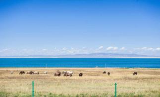 兰州集合2日周边自驾游：大美青海湖-天空之境茶卡盐湖2日周末自驾游自驾游