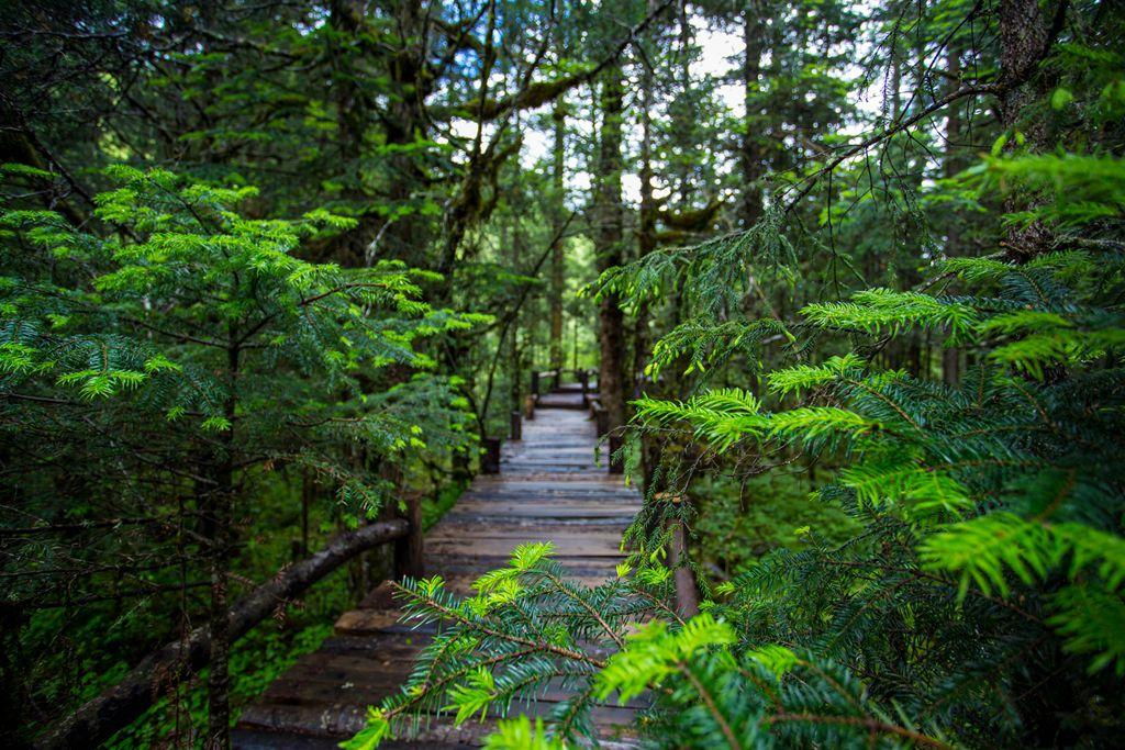 成都周边3日自驾游：奇景中华洞天-白马王朝3日探秘之旅自驾游