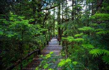 成都周边3日自驾游：奇景中华洞天-白马王朝3日探秘之旅-游推荐