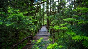成都周边3日自驾游：奇景中华洞天-白马王朝3日探秘之旅-推荐