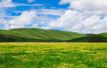成都出发川西2日自驾游：漫步草原花海-俄木塘2日自驾游-游推荐