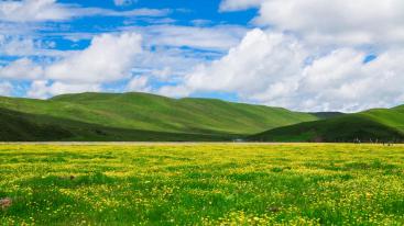 成都出发川西2日自驾游：漫步草原花海-俄木塘2日自驾游-推荐