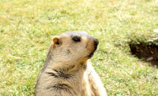 成都出發(fā)川西3日自駕游：遺忘的村落-莫斯卡3日自駕游自駕游