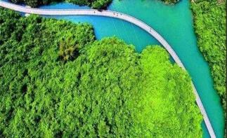 武漢出發(fā)湖北恩施3日自駕游：女兒城喝摔碗酒-獅子關(guān)-梭布埡石林3日周邊自駕游自駕游