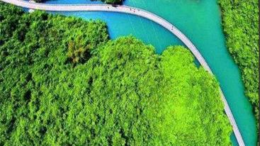 武汉出发湖北恩施3日自驾游：女儿城喝摔碗酒-狮子关-梭布垭石林3日周边自驾游-推荐