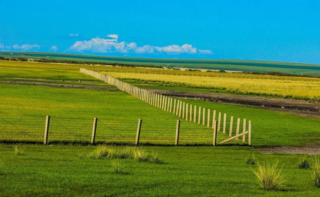 湖北出发内蒙呼伦贝尔7天自驾：额尔古纳湿地-莫尔道嘎-中俄边境公路-满洲里国门7天落地自驾游自驾游