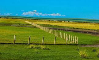 湖北出發(fā)內(nèi)蒙呼倫貝爾7天自駕：額爾古納濕地-莫爾道嘎-中俄邊境公路-滿洲里國門7天落地自駕游自駕游