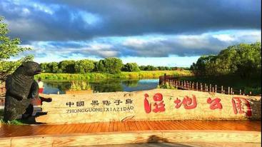 江苏出发到东北16日自驾游：黄河口生态旅游区-山海关-鸭绿江断桥16日自驾游-推荐