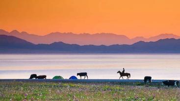 乌鲁木齐集合新疆15日自驾游:喀纳斯-禾木村-赛里木湖-巴音布鲁克15天环线自驾游-推荐