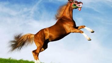 山东出发京北4日自驾游：京北沙漠-金莲川草原-石条山4日休闲自驾游-推荐