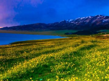 乌鲁木齐集合新疆8日落地自驾游：赛里木湖-喀拉峻大草原-巴音布鲁克8日自驾游
