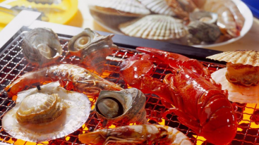 济南出发长岛3日自驾游：烟台长岛-万鸟岛-海豹礁-妈祖岛3日山东周边自驾游-推荐