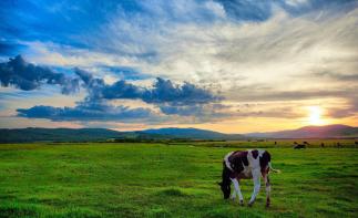 西安出發(fā)內(nèi)蒙呼倫貝爾8日落地自駕：興安林海-地質(zhì)溫泉-莫日格勒河-滿洲里8日自駕游自駕游